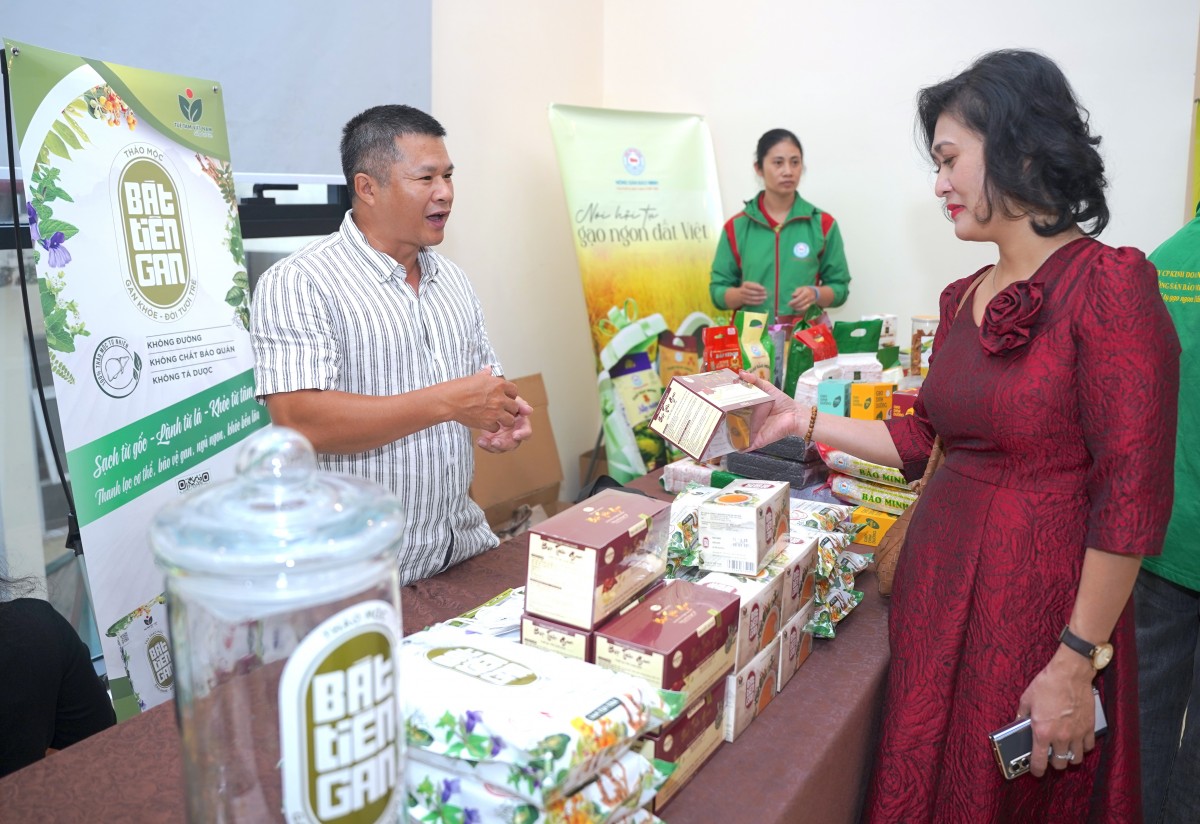 Tiêu chuẩn, thương hiệu và niềm tin: Ba phép thử lớn với nông nghiệp hữu cơ Việt Nam