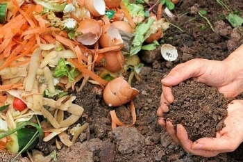 Những lợi ích khi bón phân hữu cơ