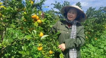 Đồng Nai đẩy mạnh sản xuất trồng trọt giảm phát thải