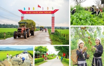 Bộ tiêu chí quốc gia về nông thôn mới giai đoạn 2026 - 2030