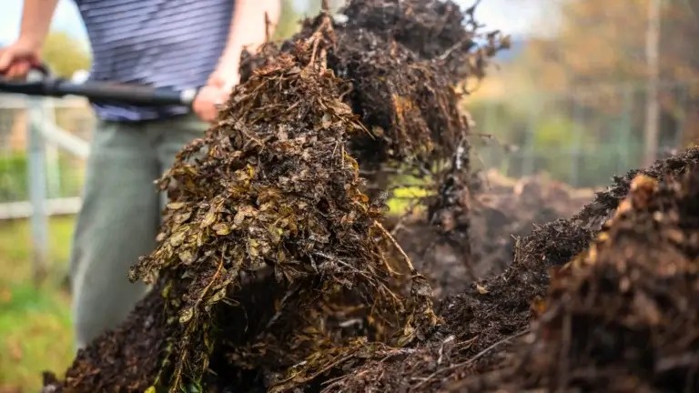 Rút ngắn thời gian ủ phân: Giải pháp hữu cơ tăng sức sống cho đất trồng