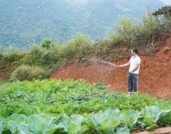 Hướng thoát nghèo cho Nhân dân vùng cao Long Hẹ