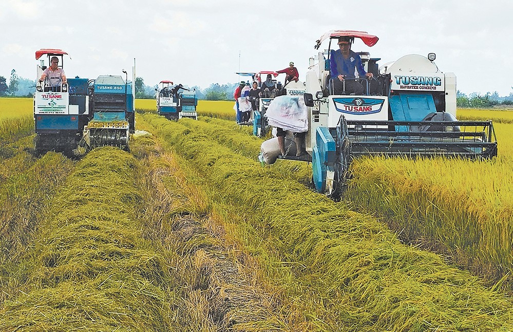 Nhân rộng mô hình sản xuất lúa chất lượng cao và phát thải thấp