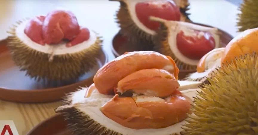 Sầu riêng ruột đỏ Dalit gây sốt: Malaysia kỳ vọng vào giống bản địa quý hiếm