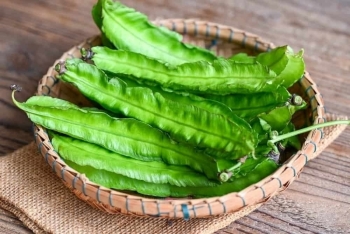 Đậu rồng – “siêu thực phẩm xanh” rẻ tiền nhưng bổ dưỡng bậc nhất cho sức khỏe