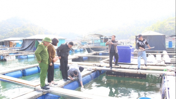 Quảng Ninh: Kiểm tra khu vực thủy sản biển tự nhiên chết bất thường