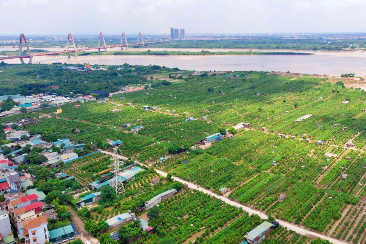 Ảnh minh họa.