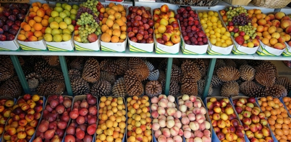 Thị trường trái cây tươi Trung Quốc đầu năm 2026: Biến động giá cả và xu hướng tiêu dùng