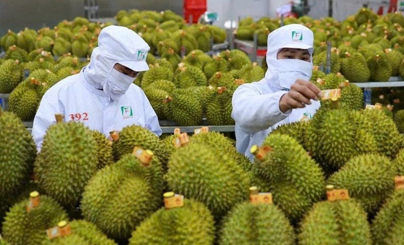 Tăng cường kiểm soát dư lượng thuốc bảo vệ thực vật khi xuất khẩu sang Pháp