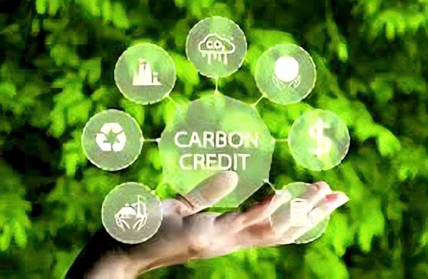 Nền tảng vận hành thị trường các-bon minh bạch, hiệu quả