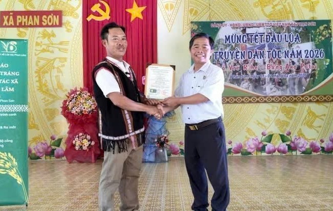 Đánh thức “hạt vàng” bản địa, khẳng định tiềm năng lúa hữu cơ vùng cao