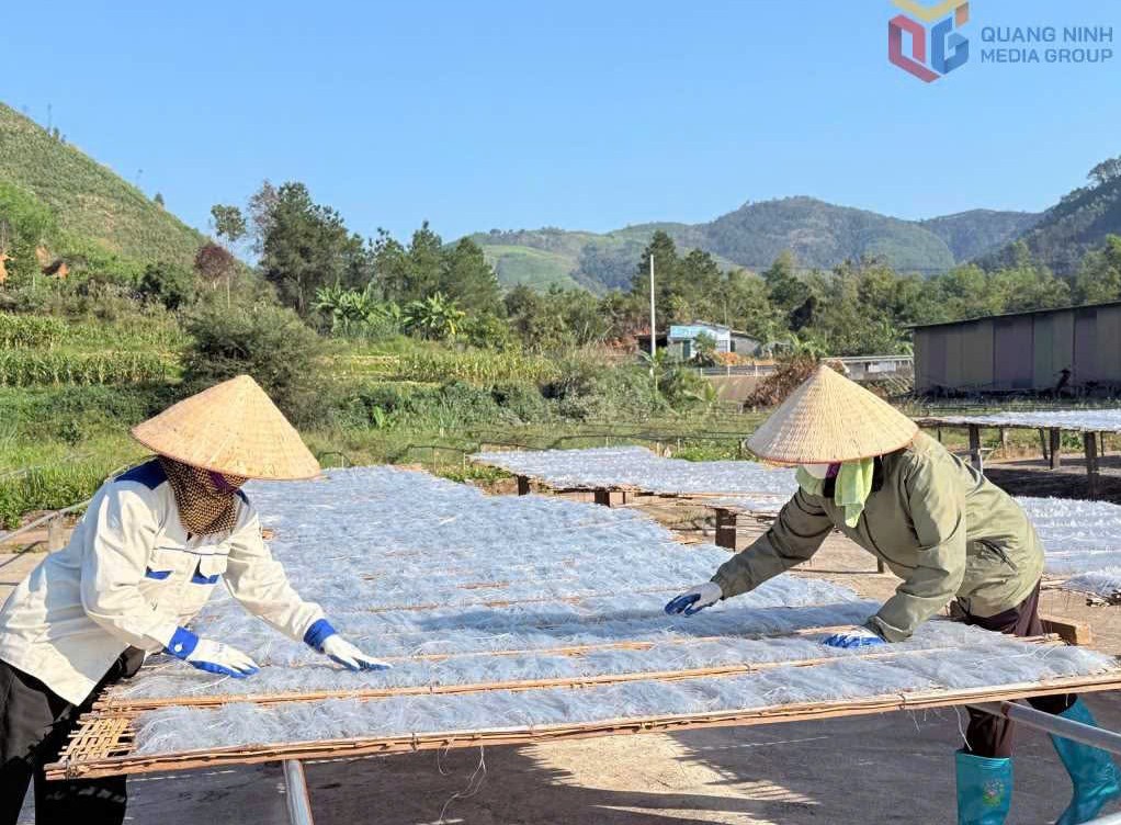 Sản phẩm OCOP Quảng Ninh sôi động mùa Tết Nguyên đán 2026
