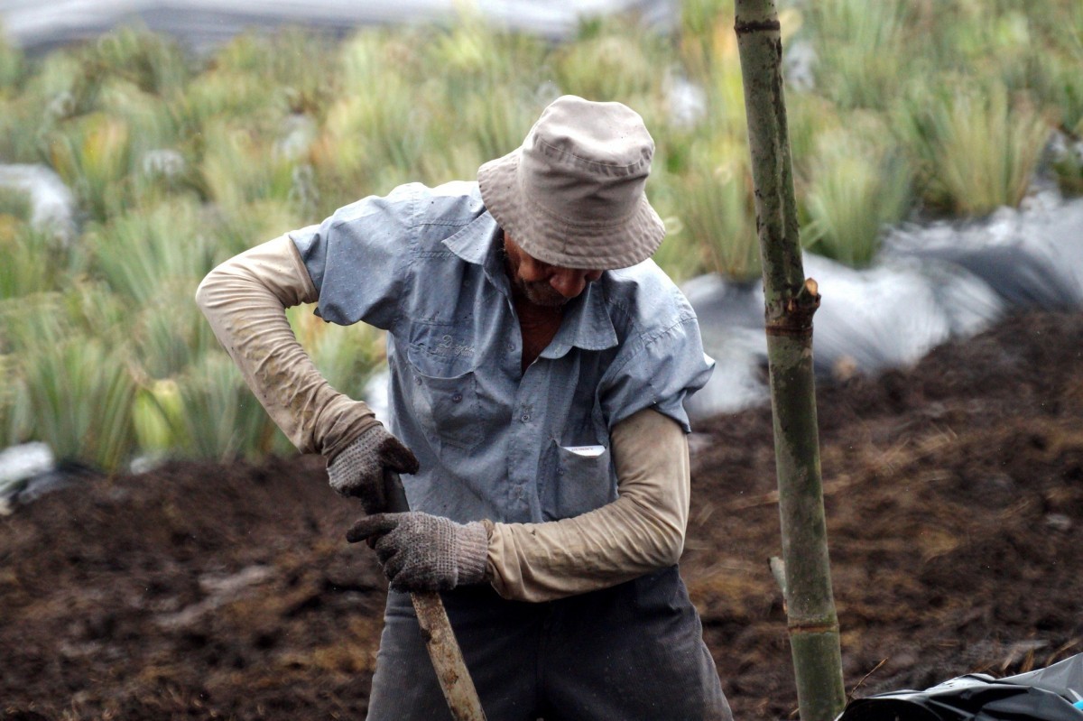 Tâm lý nông dân Mỹ chông chênh khi lo ngại xuất khẩu kéo dài sang năm 2026