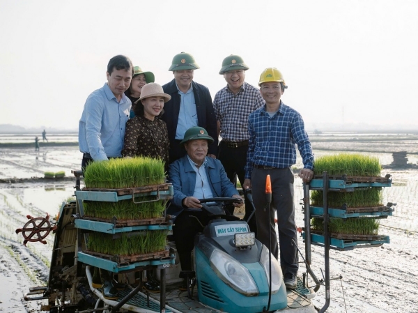 Gạo hữu cơ Sepon: Hành trình từ cánh đồng Quảng Trị vươn ra thế giới