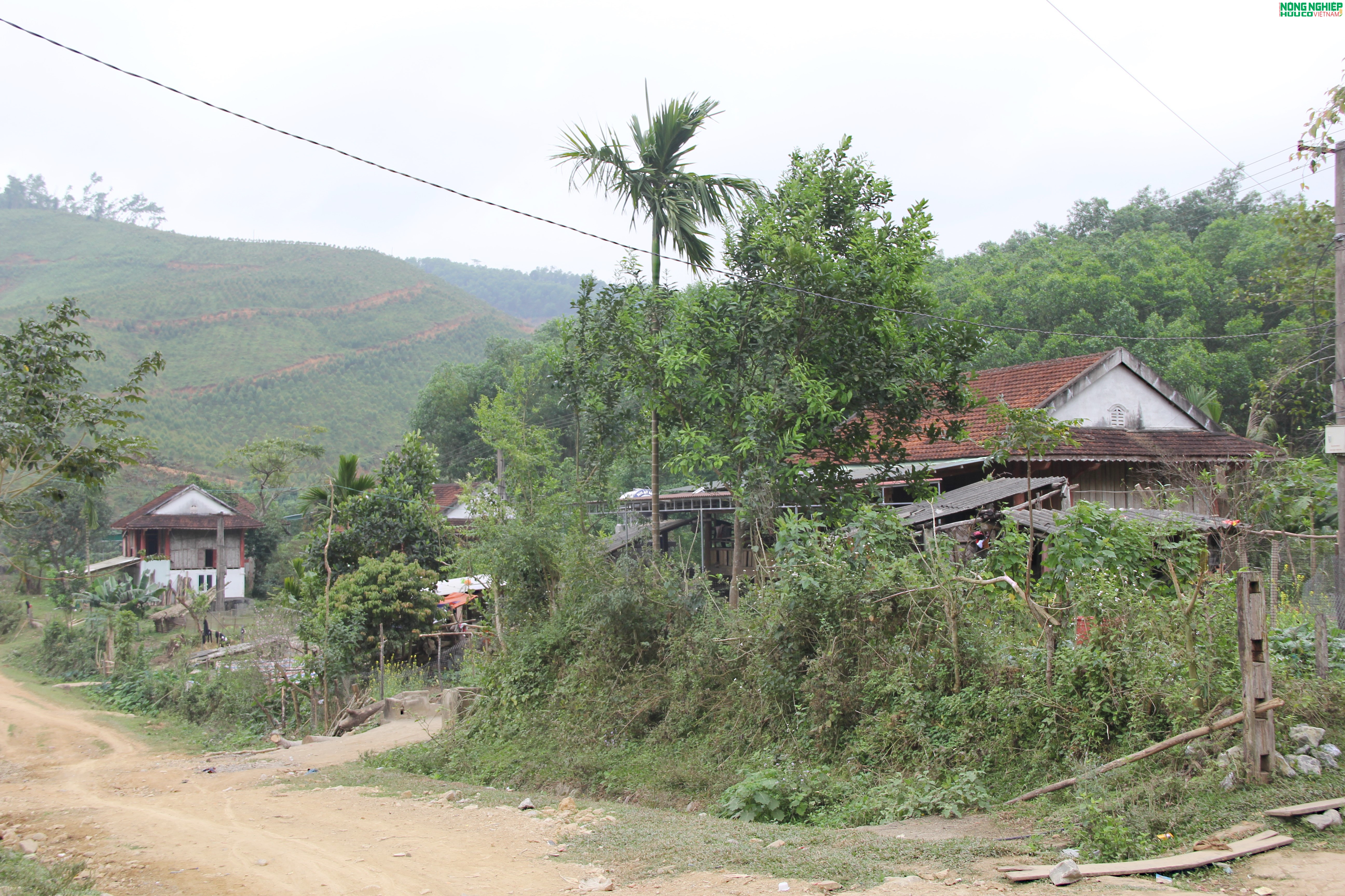 Hàng trăm suất quà Tết gửi gắm yêu thương đến với bà con Đan Lai, xứ Nghệ Hàng trăm suất quà Tết gửi gắm yêu thương đến với bà con Đan Lai, xứ Nghệ