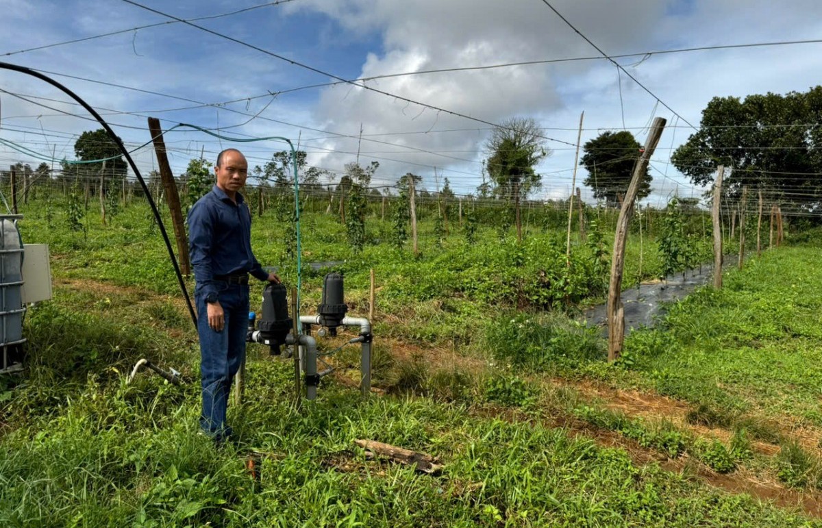 Lâm Đồng và khát vọng trở thành "thủ phủ" nông nghiệp công nghệ cao