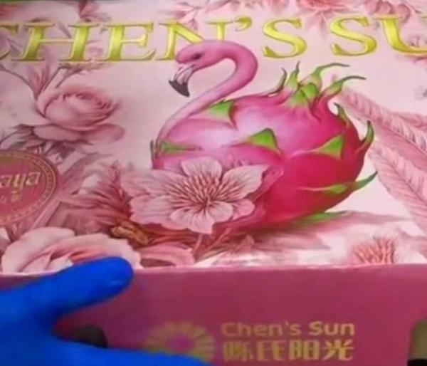 Hộp 6 trái thanh long "gây bão" thị trường quà tặng Tết ở Trung Quốc