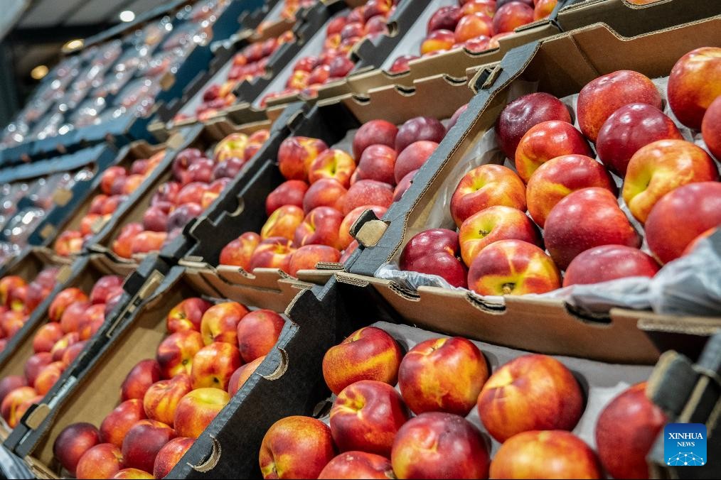 Nam Phi chính thức thâm nhập thị trường trái cây 200 tỷ USD của Trung Quốc