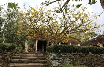 Xuân về Lộc Yên - Dáng xưa còn đó giữa miền quê yên ả