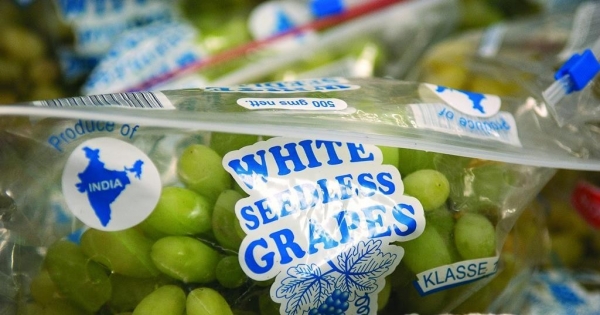 Nguy cơ thiếu hụt nho trắng không hạt tại châu Âu khi xuất khẩu từ Ấn Độ giảm mạnh