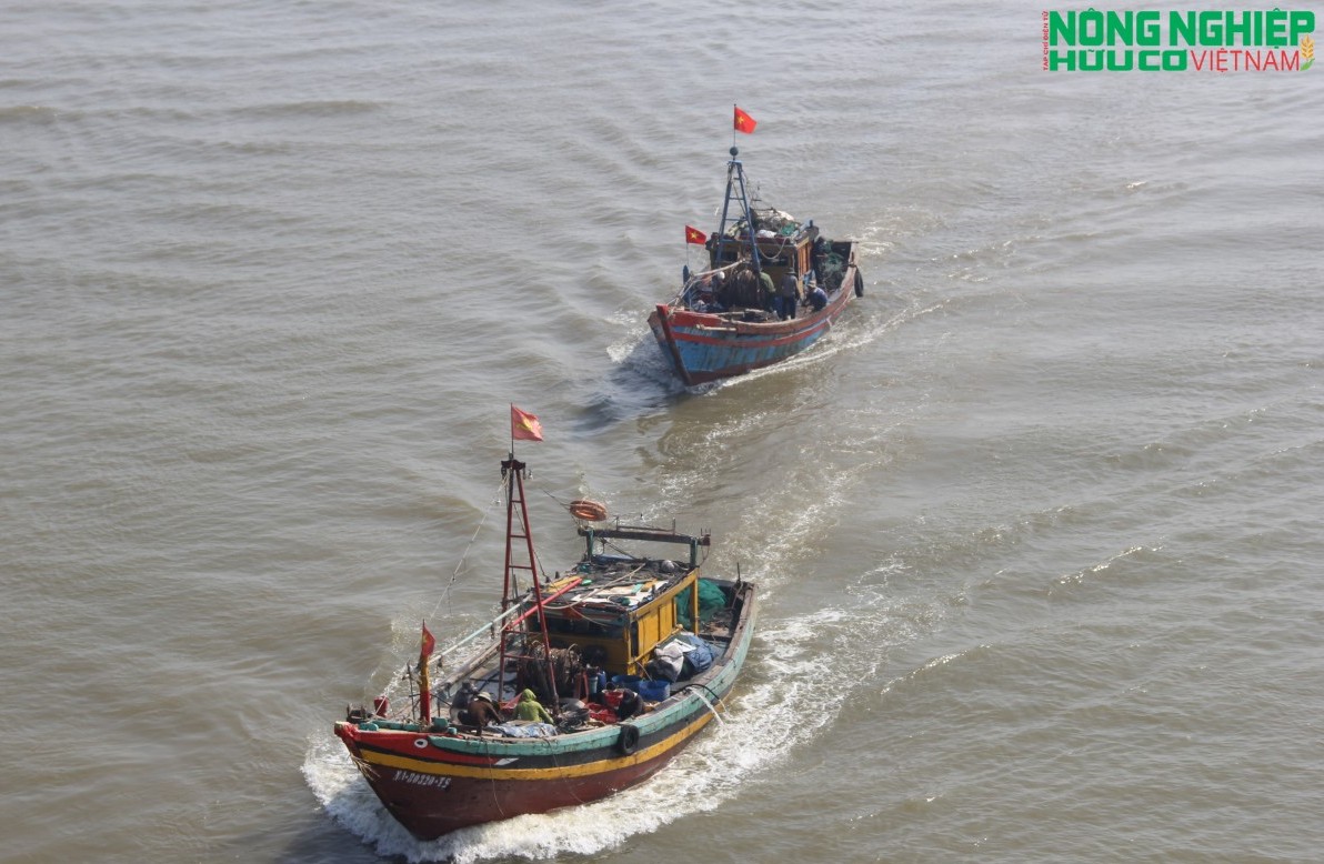 Chủ tịch Nghệ An chỉ đạo tập trung khắc phục các hạn chế trong công tác khai thác IUU