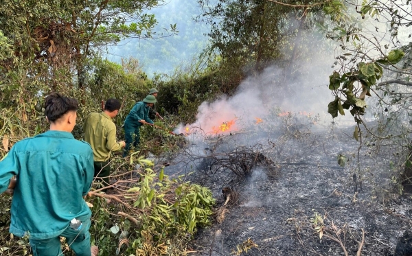 Huế: Cháy rừng tại Kim Trà 5,5 ha bị ảnh hưởng, cảnh báo nguy cơ cao