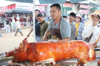 Tam Giang, nơi hoa cà phê gọi mùa xuân Việt Bắc về giữa đại ngàn