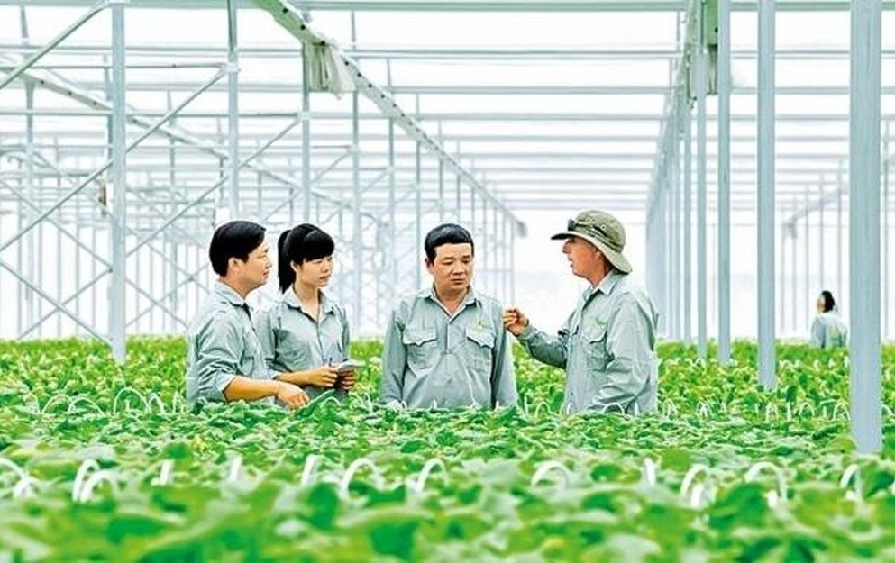 Phát triển trồng trọt phát thải thấp, sản xuất theo chuỗi giá trị tuần hoàn