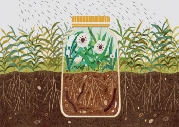 Thuốc trừ sâu - nguyên nhân làm biến đổi sâu sắc hệ vi sinh vật đất