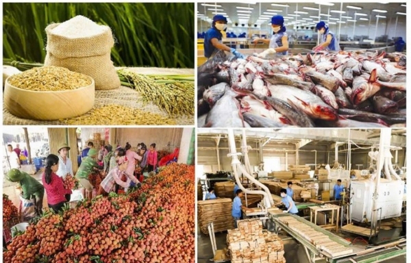 Bộ Nông nghiệp và Môi trường đẩy mạnh giải pháp thúc đẩy xuất khẩu nông, lâm, thủy sản