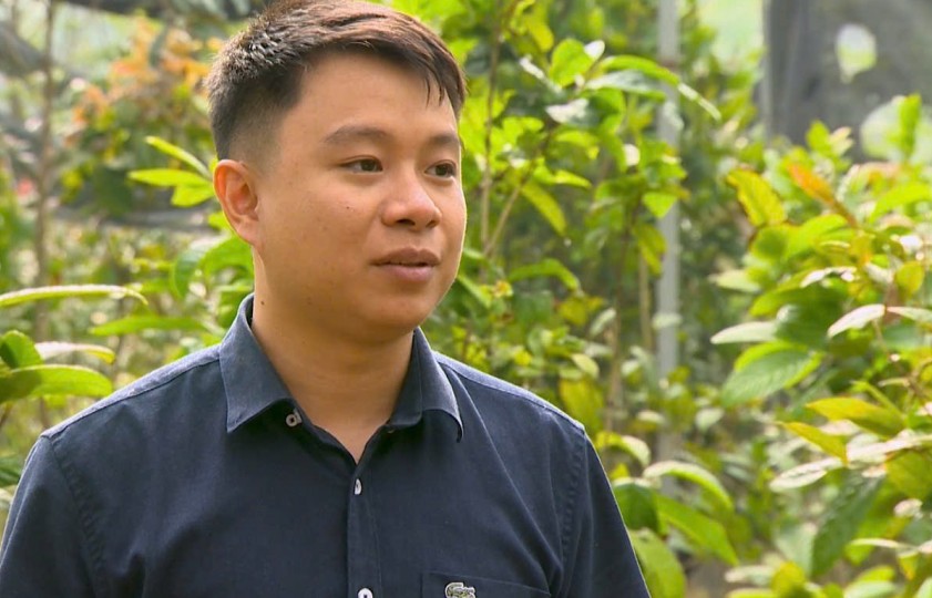 Chàng trai 26 tuổi khởi nghiệp từ trà hoa vàng