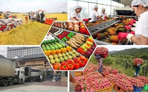 Nhiều mặt hàng nông sản có khả năng xuất khẩu sang thị trường Philippines