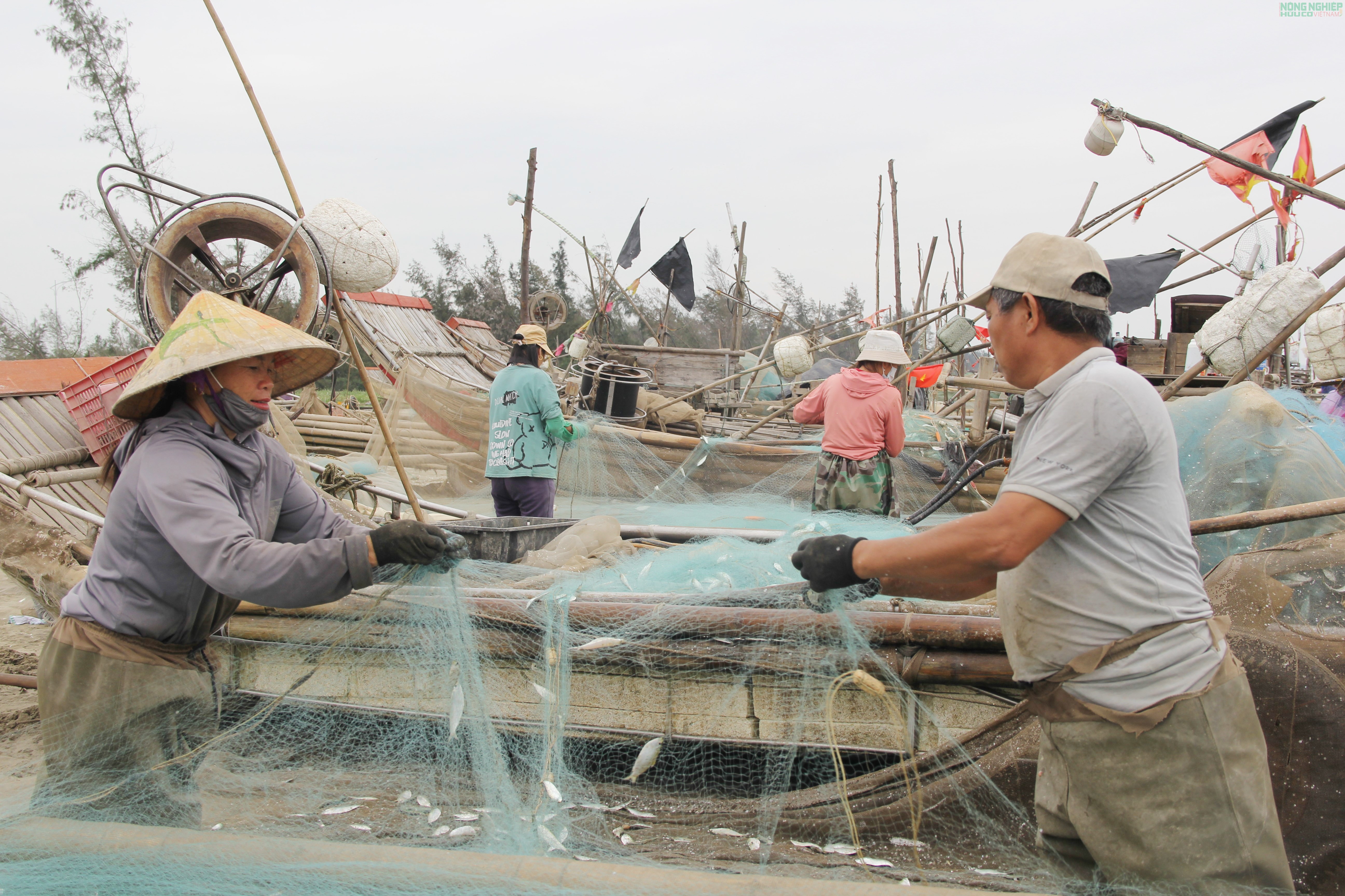 Mỏi tay gỡ cá trích, ngư dân Nghệ An kiếm tiền triệu sau mỗi chuyến biển Mỏi tay gỡ cá trích, ngư dân Nghệ An kiếm tiền triệu sau mỗi chuyến biển