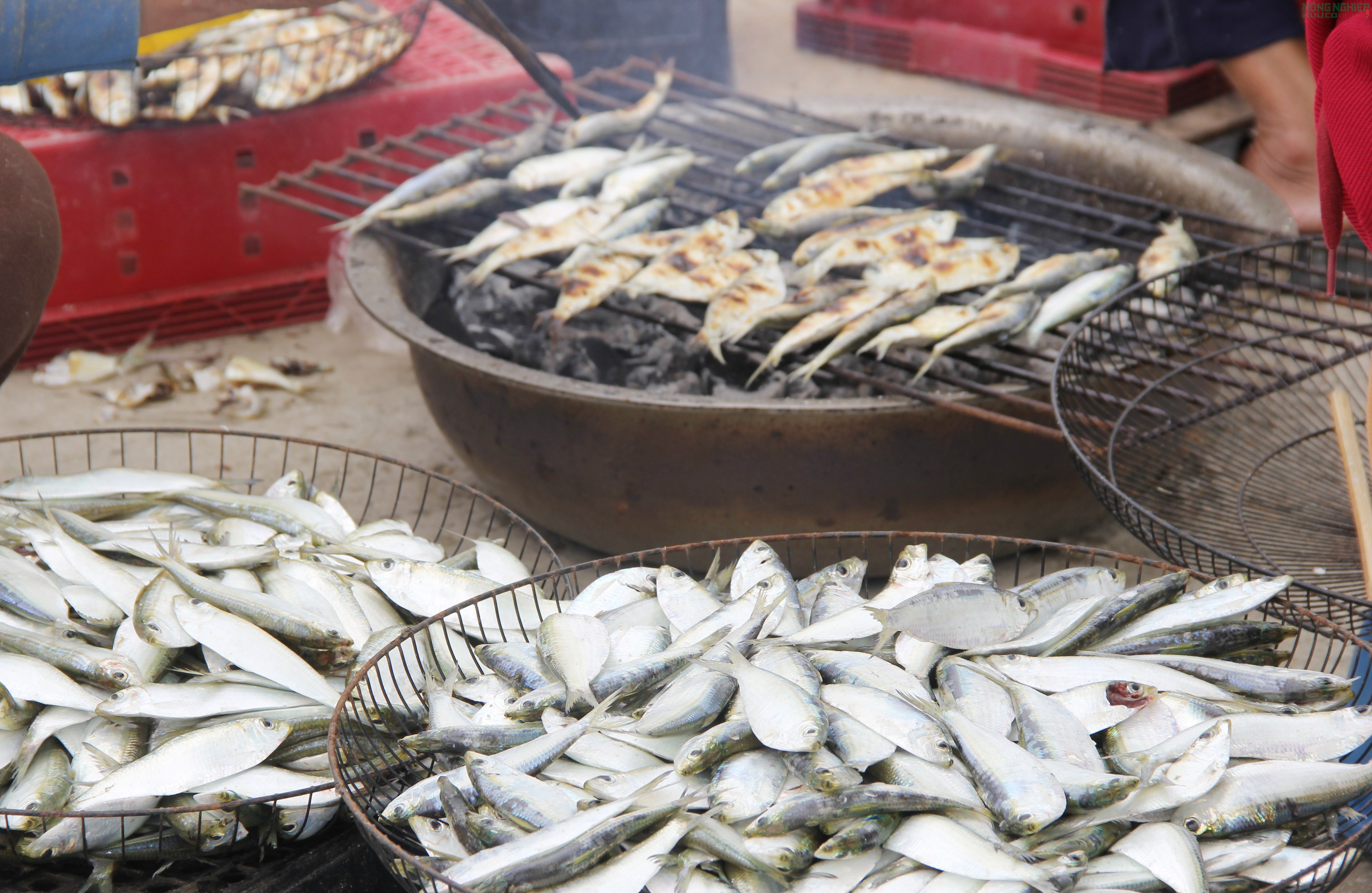 Mỏi tay gỡ cá trích, ngư dân Nghệ An kiếm tiền triệu sau mỗi chuyến biển Mỏi tay gỡ cá trích, ngư dân Nghệ An kiếm tiền triệu sau mỗi chuyến biển