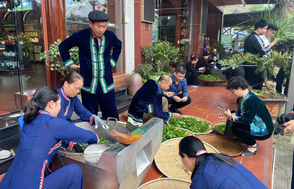 Gìn giữ tinh hoa, lan tỏa giá trị "Thái Nguyên đệ nhất danh trà"