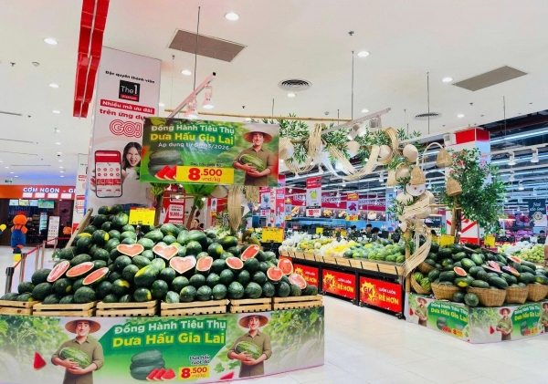 Chung tay kết nối, hỗ trợ tiêu thụ dưa hấu cho nông dân tỉnh Gia Lai