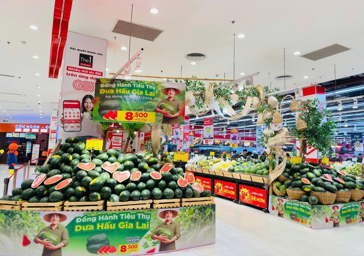 Chung tay kết nối, hỗ trợ tiêu thụ dưa hấu cho nông dân tỉnh Gia Lai