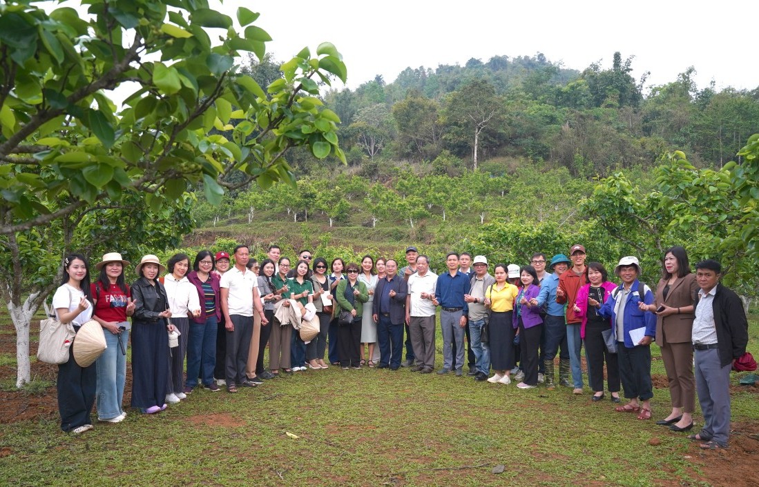 Đánh thức giá trị bản địa, mở hướng phát triển nông nghiệp hữu cơ tại Lai Châu