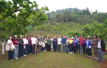 Đánh thức giá trị bản địa, mở hướng phát triển nông nghiệp hữu cơ tại Lai Châu