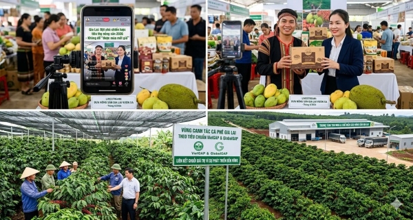 Gia Lai: Đột phá chiến lược tiêu thụ nông sản năm 2026, không để tái diễn cảnh “được mùa mất giá”