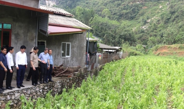 Cao Bằng: Phó Bí thư Tỉnh ủy Vũ Hồng Quang kiểm tra tình hình thiệt hại thuốc lá do mưa đá gây ra