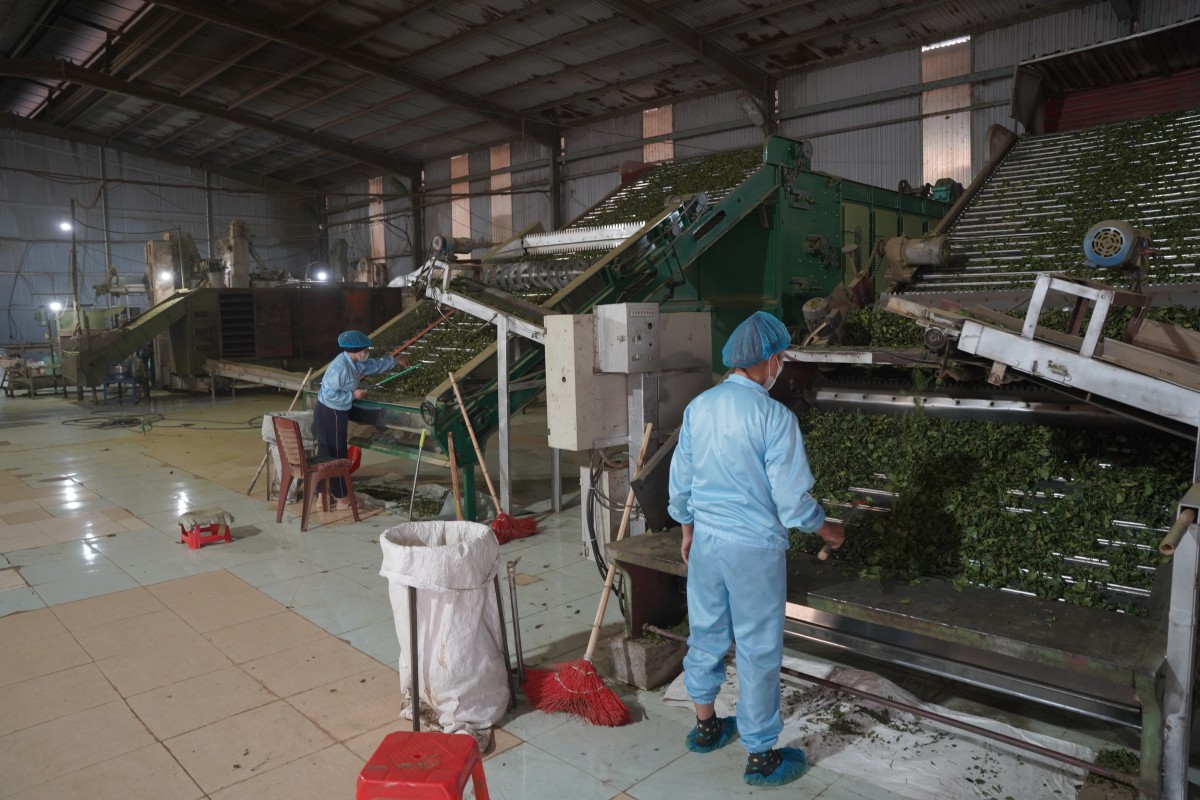 Kết nối giải bài toán phát triển nông nghiệp hữu cơ tại Sơn La