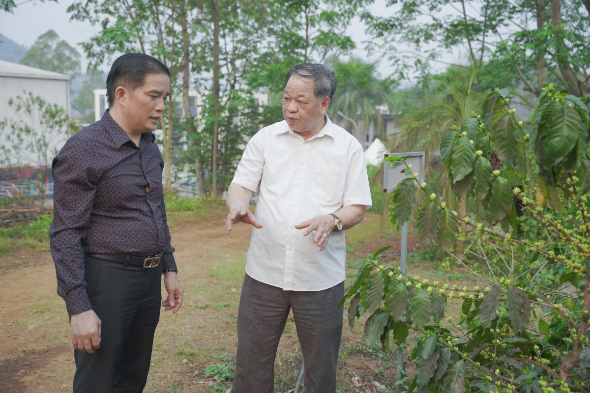 Kết nối giải bài toán phát triển nông nghiệp hữu cơ tại Sơn La