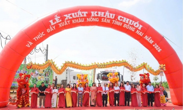 Đồng Nai xuất khẩu 220 tấn chuối, mở rộng thị trường nông sản năm 2026