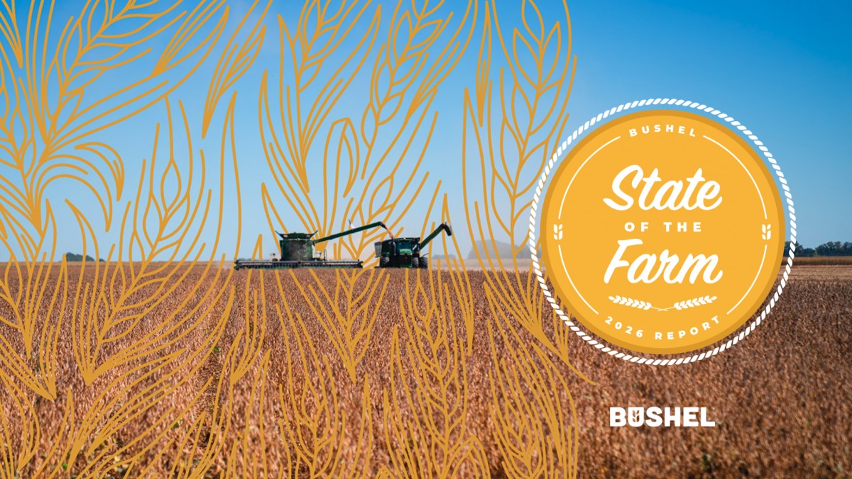 Ứng dụng trí tuệ nhân tạo, xu hướng số hóa thị trường nông sản Hoa Kỳ gia tăng