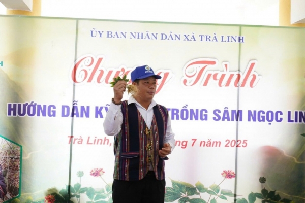 Đà Nẵng đầu tư 500 tỷ đồng phát triển nông nghiệp hữu cơ, ưu tiên khu vực miền núi