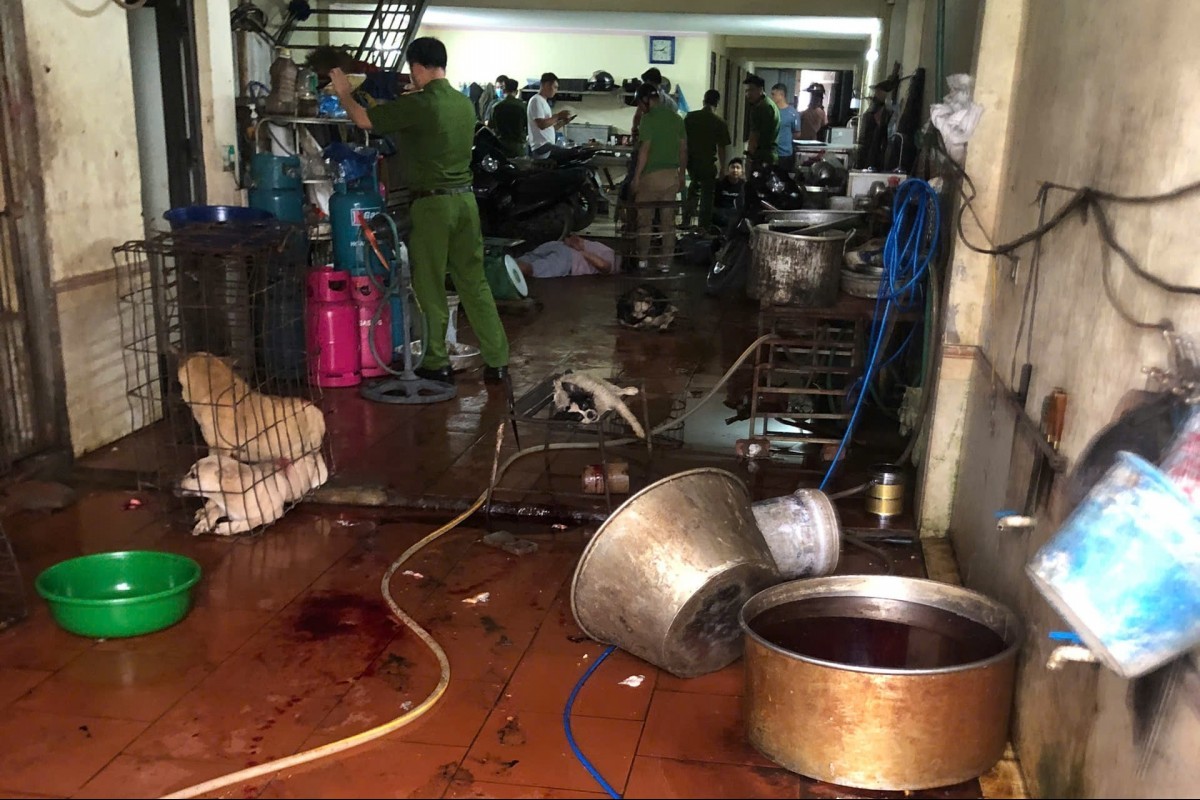 Hà Nội: Công an xã Đa Phúc phát hiện điểm tiêu thụ chó nghi trộm cắp