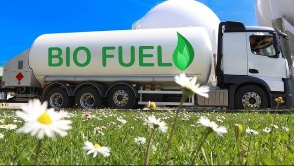 Bùng nổ nhiên liệu sinh học: Mở rộng "đầu ra" nông sản tại Hoa Kỳ