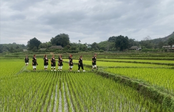 Chuyển đổi cơ cấu giống cây trồng, vật nuôi, hướng tới phát triển nông nghiệp bền vững