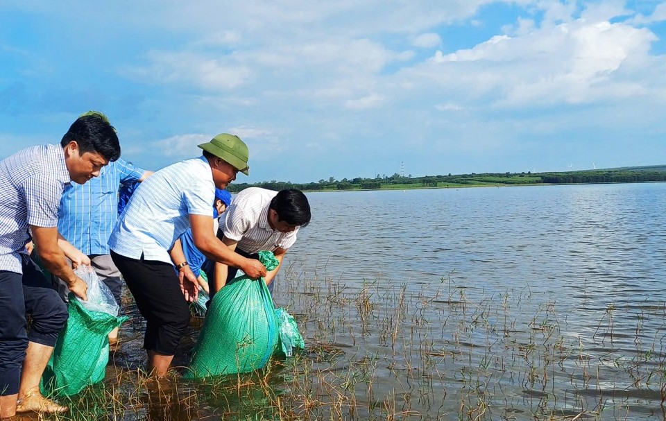Quảng Trị: Thả giống tái tạo nguồn lợi thủy sản, chống khai thác IUU hướng tới gỡ “thẻ vàng” EC